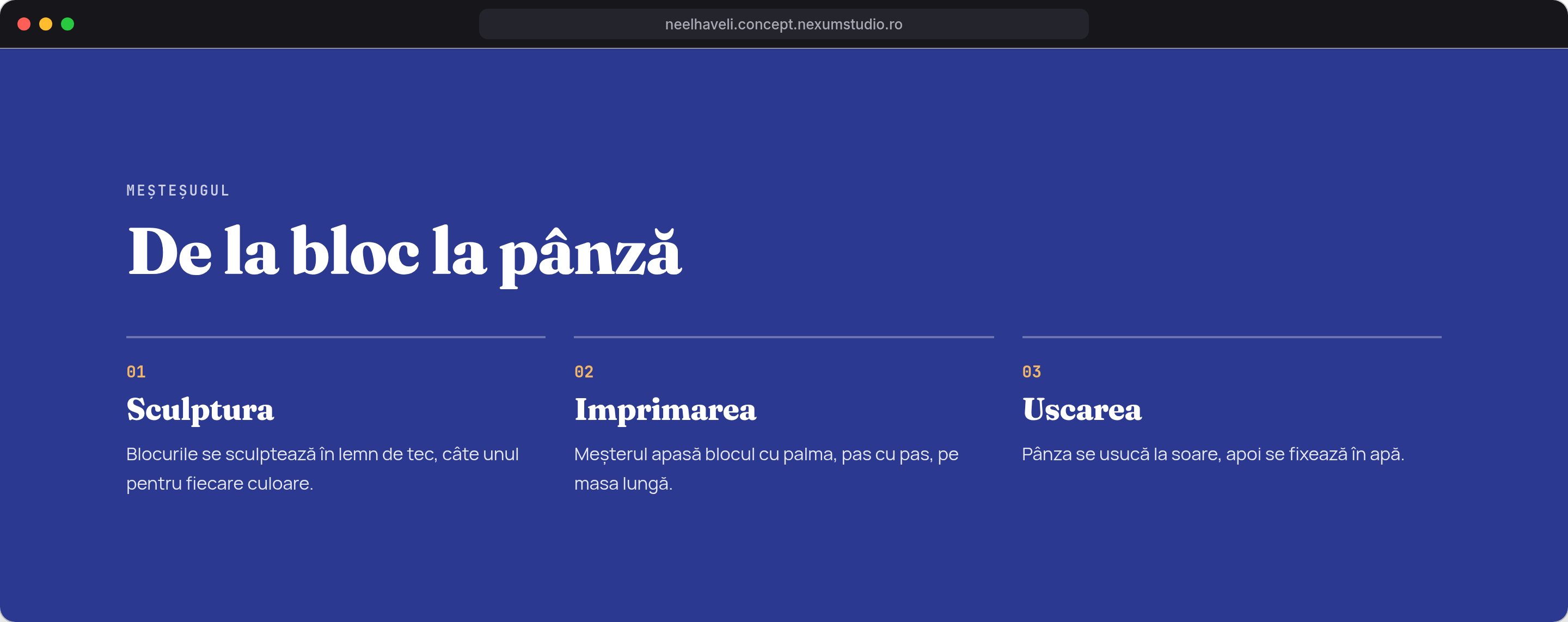 NEEL HAVELI: Meșteșugul, desktop